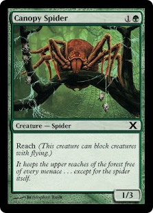 Canopy Spider