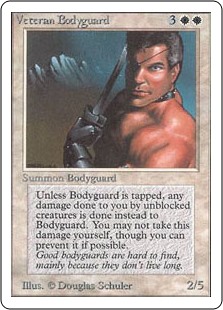Veteran Bodyguard