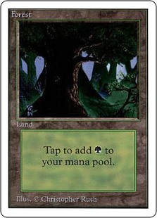 Forest