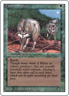 Timber Wolves