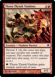 Thorn-Thrash Viashino