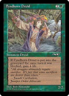 Fyndhorn Druid