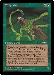 Whip Vine
