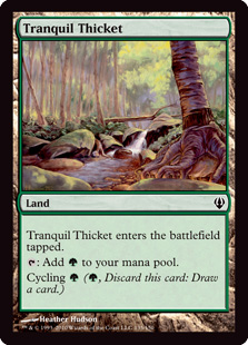 Tranquil Thicket