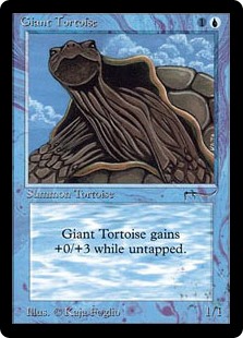 Giant Tortoise