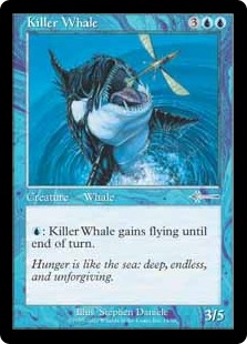 Killer Whale