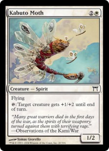 Kabuto Moth