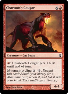 Chartooth Cougar