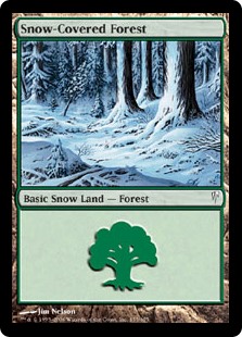 Snow-Covered Forest