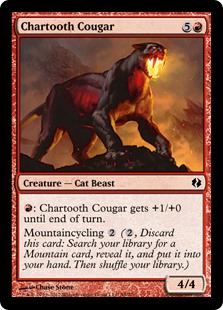 Chartooth Cougar