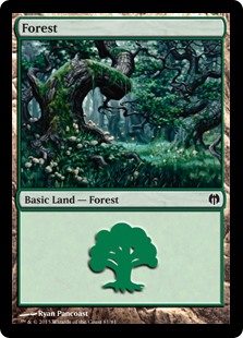 Forest