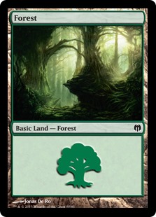Forest