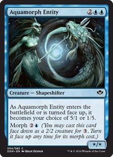 Aquamorph Entity