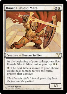 Haazda Shield Mate