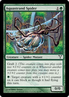 Aquastrand Spider