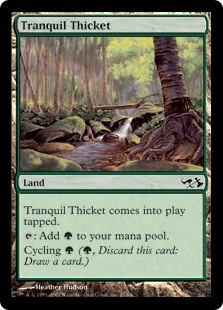 Tranquil Thicket