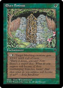 Elven Fortress