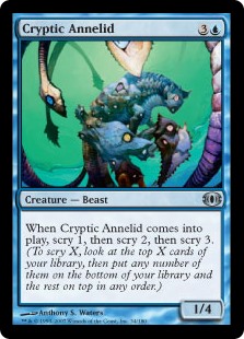 Cryptic Annelid