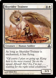 Skyrider Trainee