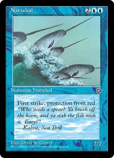 Narwhal