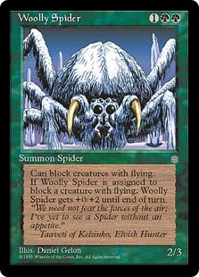 Woolly Spider