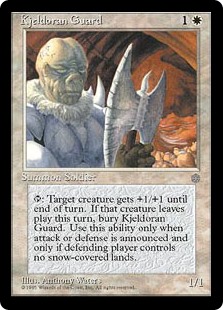 Kjeldoran Guard