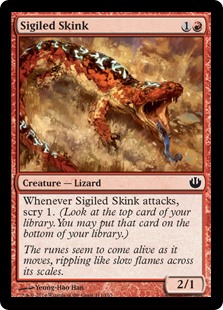 Sigiled Skink