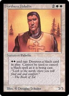 Northern Paladin