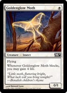 Goldenglow Moth
