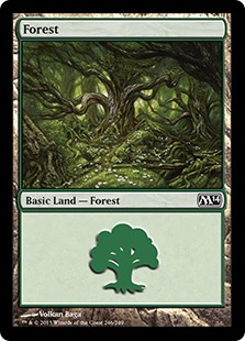 Forest