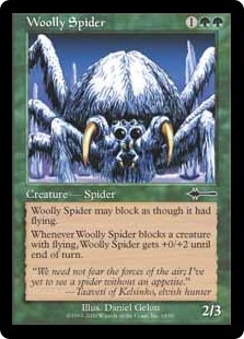 Woolly Spider