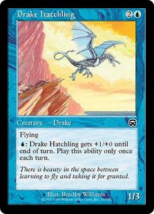 Drake Hatchling