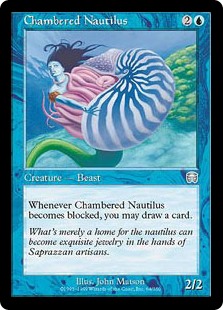 Chambered Nautilus