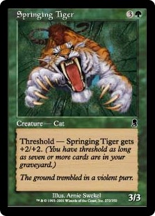 Springing Tiger