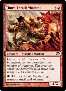 Thorn-Thrash Viashino