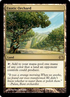 Exotic Orchard