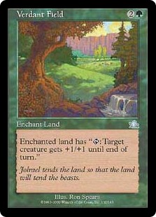 Verdant Field