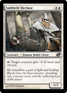 Saltfield Recluse