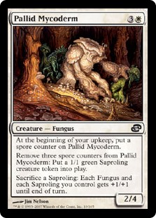 Pallid Mycoderm