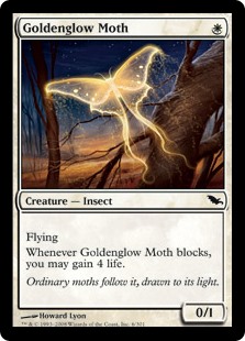 Goldenglow Moth