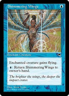 Shimmering Wings