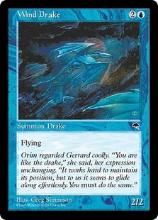 Wind Drake