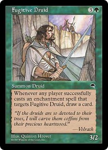 Fugitive Druid