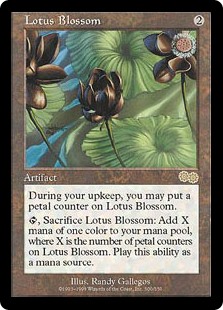Lotus Blossom