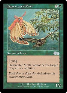 Hawkeater Moth