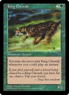 King Cheetah
