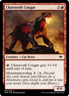 Chartooth Cougar