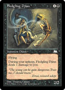 Fledgling Djinn