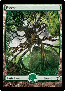 Forest