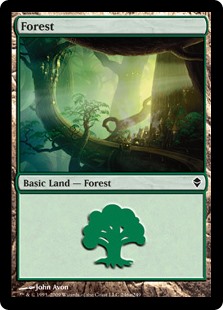 Forest